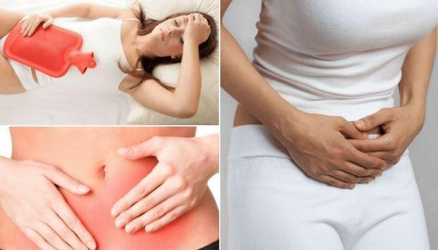 plantas medicinales que curan la endometriosis