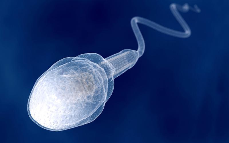 UNDERSTANDING THE SPERMOGRAM: Natural treatment